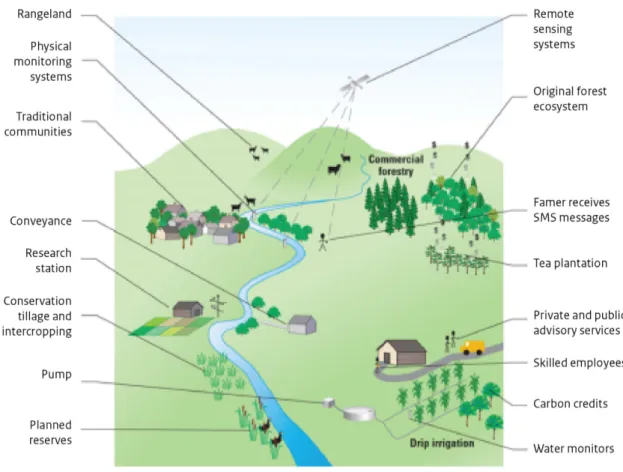 Figure 3.1: A  resilient, climate-smart agricultural landscape using the ecosystem  services nature provides, would enable farmers to use new technologies, 