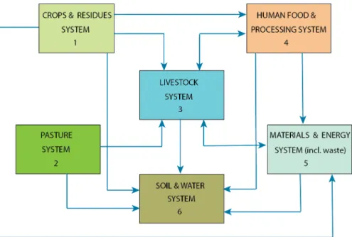 Figure 2.1. Agricultural biomass chain and flow 