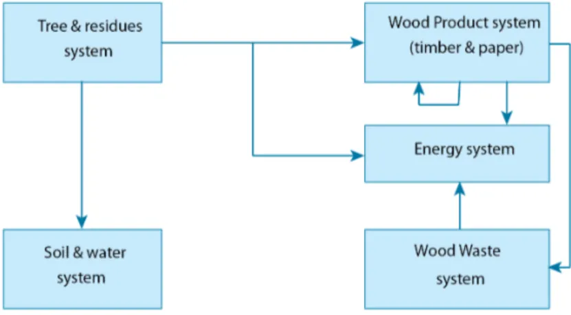 Figure 2.2. Wood biomass chain and flow 