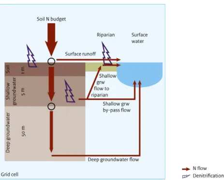 Figure 1. Global model with 0.5 ◦ by 0.5 ◦ resolution applied in this study, taking soil N budgets (accounting for ammonia volatilization) as a starting point to compute surface runoff, leaching from subsoil to groundwater, denitrification in soils, and tr