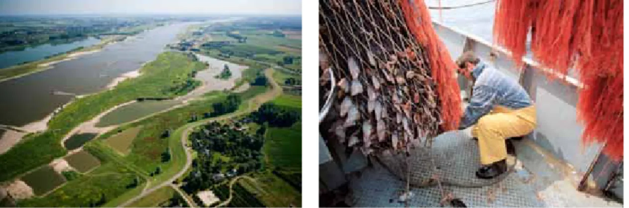 Foto links: De Jong Luchtfotografie; foto rechts: Hollandse Hoogte, Goos van der Ven Waterberging en visserij zijn twee belangrijke ecosysteemdiensten.