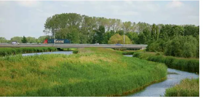 Foto Bas van de Riet,  Landschap  Noord-Holland. Nabij Purmerend  Weidevenne. De rietlanden  in de Purmerringvaart  zijn habitat voor noordse  woelmuis en zeldzame  rietvogels als roerdomp  en snor