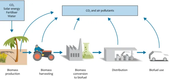 Figure 6 CO₂ and air polluting emissions from biofuel production chains