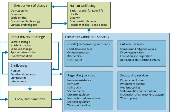 Figure 1.1 Linkages between Ecosystem Goods and Services and biodiversity