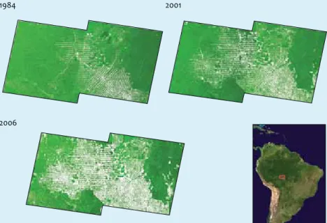 Figure 4.1 Rondonia – deforistation of Amazon rainforest, 1984 – 2006
