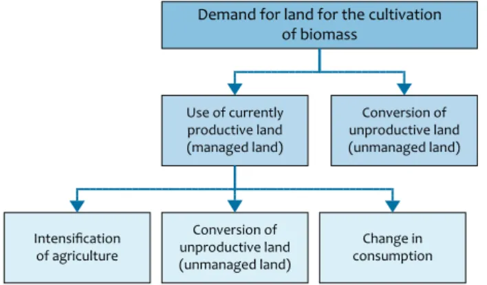 Figure 1 Direct land use for bio-energy and its indirect eﬀects