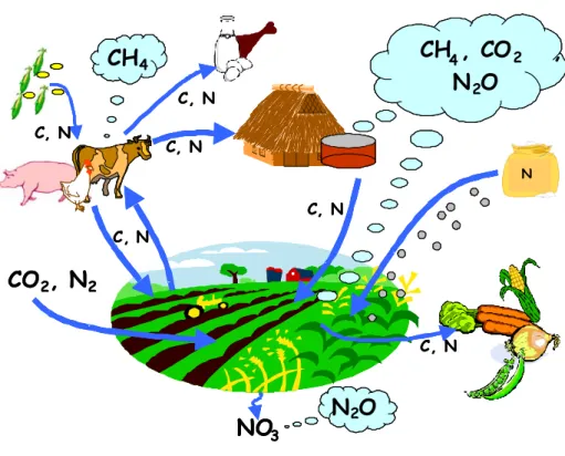 Figure 1.   Schematic overview of the main greenhouse gas emissions in agriculture and the relation with  the different flows of C and N 
