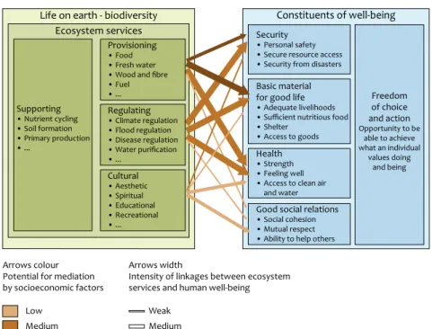 Figure 2.2 Linkages between ecosystem services and human well-being