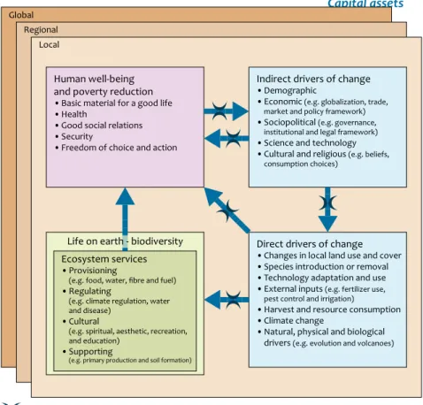 Figure 3.1 Conceptual framework of Millennium Ecosystem Assessment