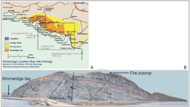 Figure 5   A: Location map. B: View of the cliff from Kimmeridge bay to St’ Aldhelms head