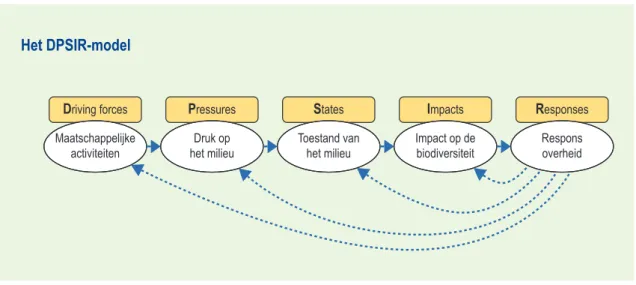 Figuur 1  De oorzaak-gevolgketen van het DPSIR-model.