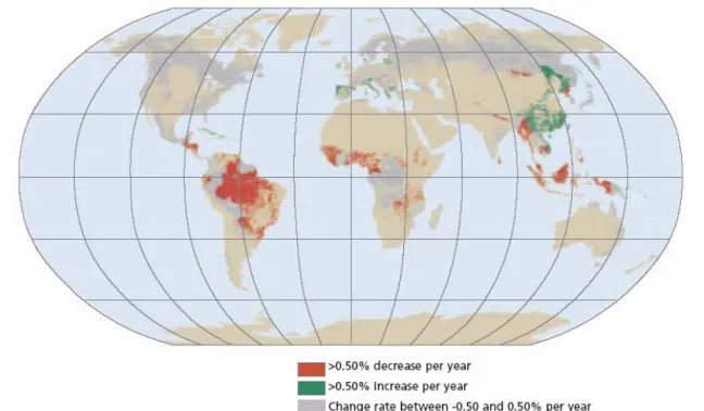 Figure 6: Areas with large net changes in forest area from 2000 to 2005 (FAO, 2006). 