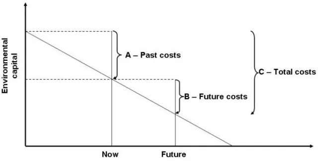 Figure 1: A basic characterization of costs of policy inaction 