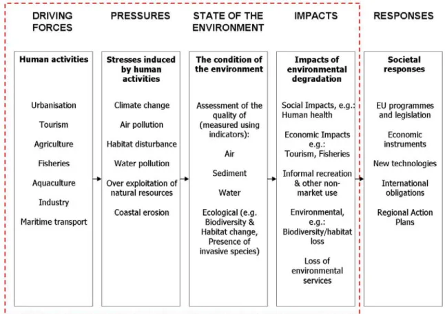 Figure 5: The driving forces … responses framework   