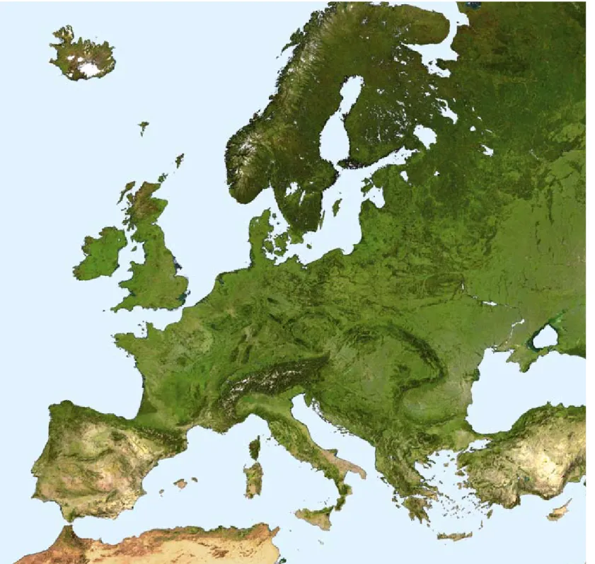 Figuur 2. Satellietfoto van Europa. Bron: nasa