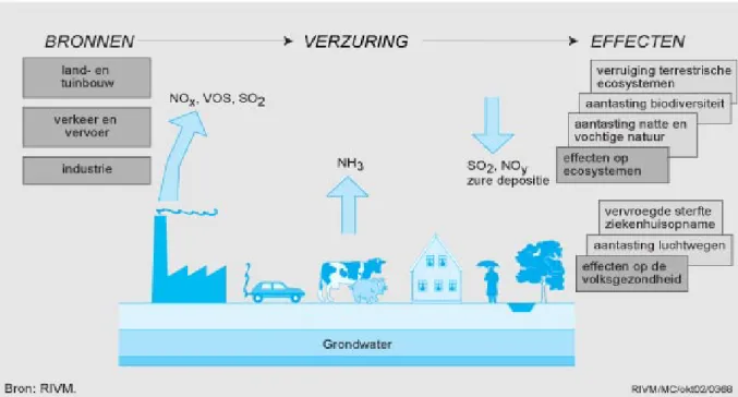 Figuur 1.1 Overzicht van bronnen en effecten van verzuring. 