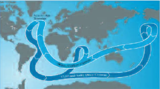 Figure 5: The Gulf Stream.