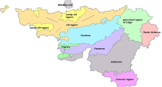 Fig. 2 Map of the agricultural areas in the Walloon Region.  