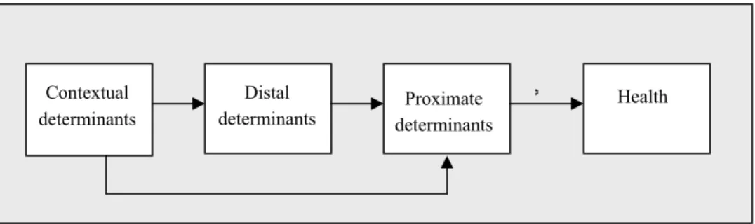 Figure 3.1: Health determinants: different hierarchical levels of causality  