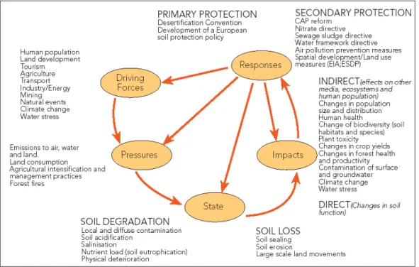 Figuur 2.1. Weergave van de bodemproblematiek volgens het DPSIR-schema van het Europese Milieuagentschap