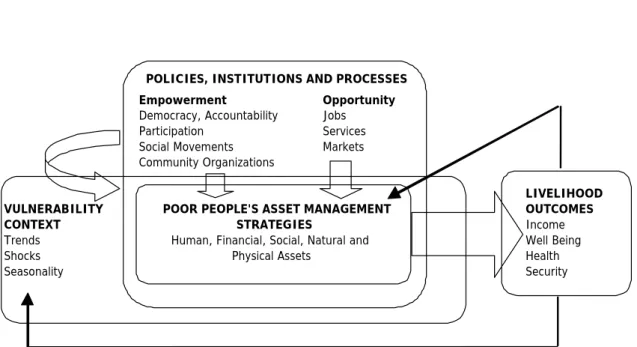 Figure 2.1 The sustainable livelihoods framework 