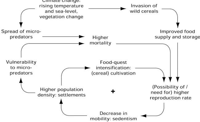 Figure 2 is a so-called causal loop diagram (or CLD) from system dynamics: it is a condensed semi-quantitative way of presenting some major dynamic factors in the agrarianization process  8 .