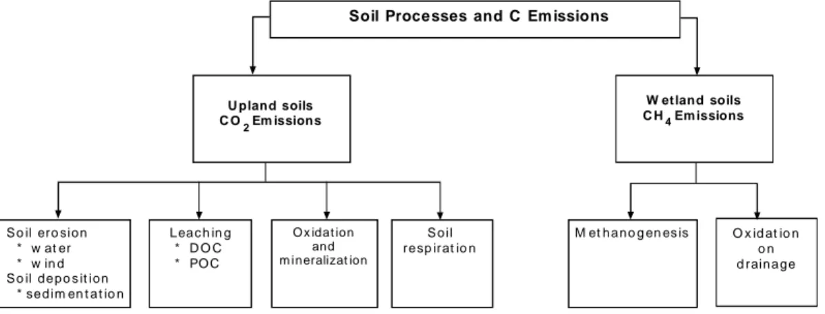 Fig. 2 Principal processes in soil affecting C-emissions from upland and wetland soils (Source:  Lal, 1998)
