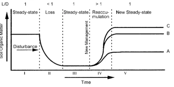 Fig. 5 Conceptual model of soil organic matter decomposition/accumulation following disturbance (A - stabilization at lower than original level; B- stabilization at original level; C - stabilization at above-original level;  (After: Johnson, 1995b))