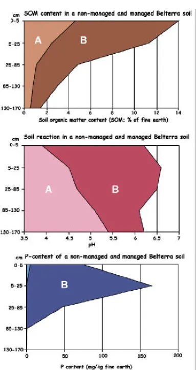 Fig. 6 Positive effects of prolonged application of ‘farmyard’ manure on properties of a non-managed (a) versus a managed (B) Belterra soil from Brazil (Based on data from: W.G