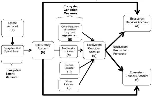 Figure 2: Location of biodiversity and linkages with other accounts within the SEEA-EEA  (Source: UNEP-WCMC, 2015) 