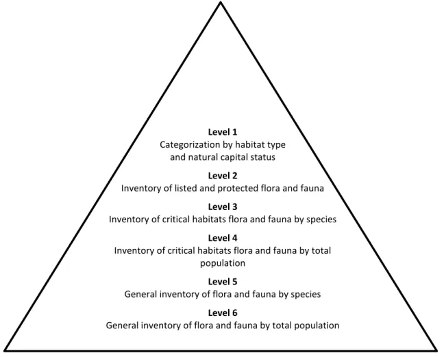 Figure 2: Pyramid of hierarchical criticality to measure changes in biodiversity  (Source: Jones, 1996) 