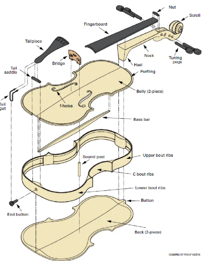Figure 2.1: Exploded-view drawing of the violin with indicated parts