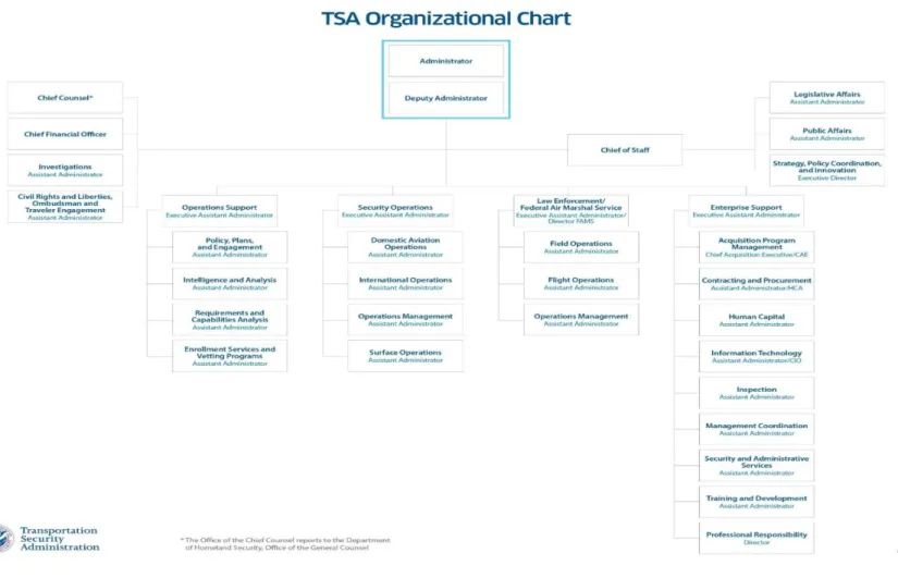 Figure 5: TSA organizational chart 