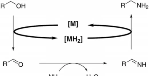 Figure 2.2. “Borrowing hydrogen strategy” in the amination of alcohols with ammonia.  