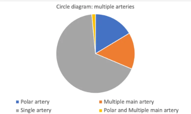 Figure 20: Circle diagram: multiple arteries. 