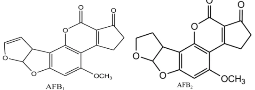 Figure 1.1. Chemical structure of aflatoxin B₁ (L) and aflatoxin B₂ (R). (47) 