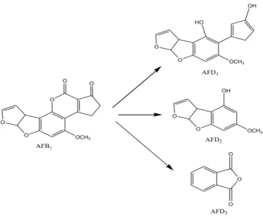 Figure 1.2. Scheme of AFB₁ degradation by Pseudomonas putida. (48) 