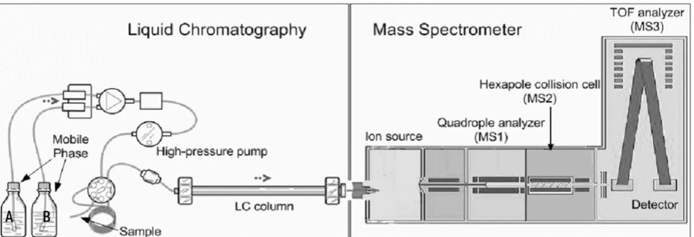 Figure 1.5. Drawn scheme of a Liquid Chromatography coupled to a High-Resolution Mass Spectrometer with a TOF  mass analyzer