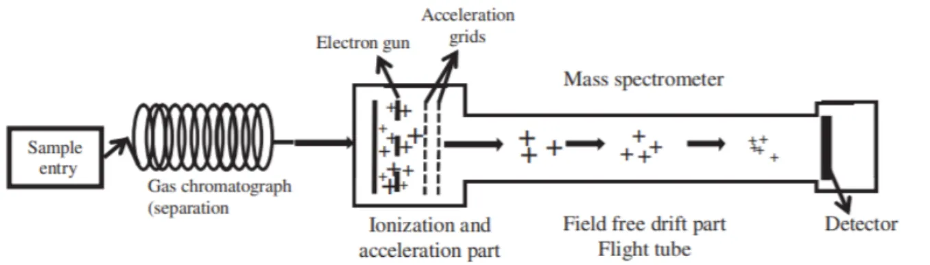 Figure 1.6. Schematic diagram of GC-HRTOF-MS. A sample is injected through a heated injection port into the capillary  column of the GC