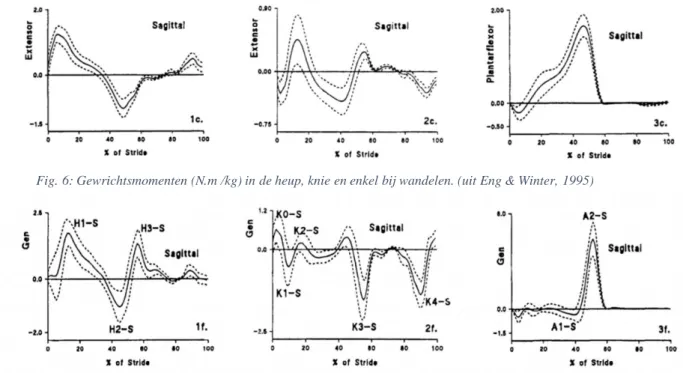 Fig. 6: Gewrichtsmomenten (N.m /kg) in de heup, knie en enkel bij wandelen. (uit Eng &amp; Winter, 1995) 