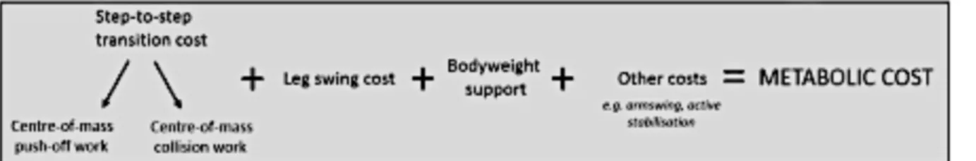 Fig. 8 geeft weer uit wat de totale metabole kost van wandelen bestaat. Het is de som van de  overgangskost van stap-tot-stap, de kost voor de beenzwaai, de kost voor het ondersteunen van  het  lichaamsgewicht  en  overige  kosten  zoals  armzwaai  en  act