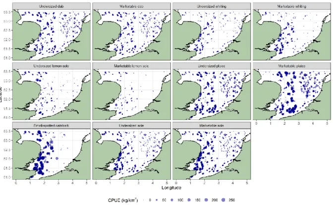 Figure 6: Relative CPUE contribution of dab, whiting, lemon sole, plaice, sole, catshark and all other species in the southern North Sea to each  cluster with indication of marketable and undersized fish, if applicable