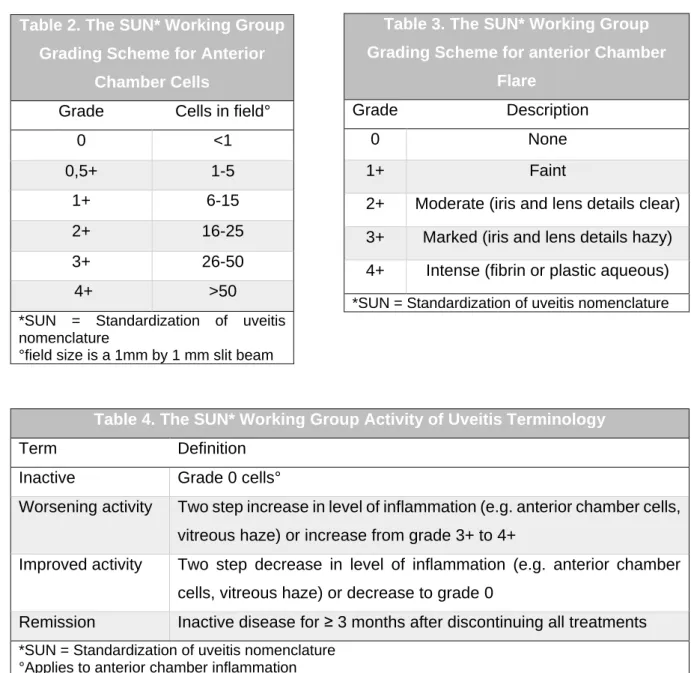 Table 4. The SUN* Working Group Activity of Uveitis Terminology 