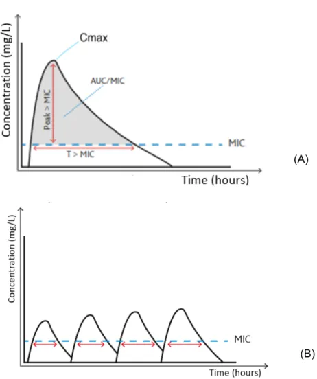 Figure 3. Concentration-time curve. (A) 3 families of antibiotics: time-dependent (T&gt;MIC), concentration- concentration-dependent  (Cmax&gt;MIC)  and  AUC-concentration-dependent  (AUC/MIC)  (B)  concentration-time  curve  of  time-concentration-depende