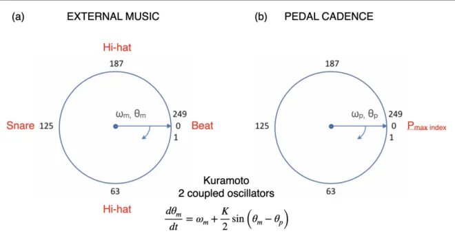 Figure 2.1: Music and pedalling are modelled as two coupled oscillators. (a) The BPM of the music determines the angular frequency of the music oscillator ω m 