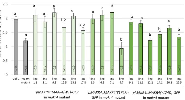 Figure 6: LR density of wild-type MAKR4-GFP and MAKR4(Y174)-GFP phosphomutants expressed in the makr4  mutant