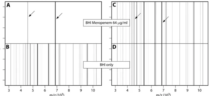 Figuur 1.7: Massaspectra van een gevoelige (rechts) en resistente (links)  K. pneumoniae  na groei in het  groeimedium BHI ( brain heart infusion ) en in aan-of afwezigheid van meropenem