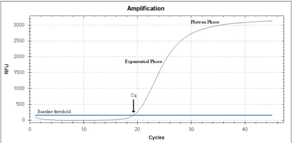 Figuur 1.9: Een real-time PCR amplificatieplot met op de x-as het aantal PCR cycli en de y-as  Relative  Fluorescence Units  (RFU) (30)