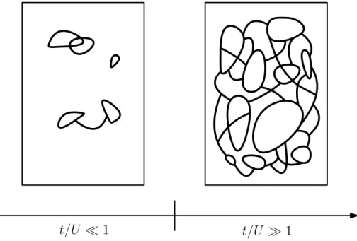 Figure 4.1: String-net condensation visualized. For large U , the string tension dominates and few structures are formed