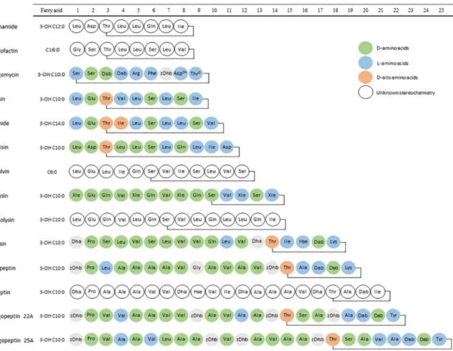 Figuur  8  –  Overzicht  van  de  chemische  structuren  van  de  verschillende  CLP-families  geproduceerd  door  Pseudomonas  species  (Geudens  &amp;  Martins,  2018)